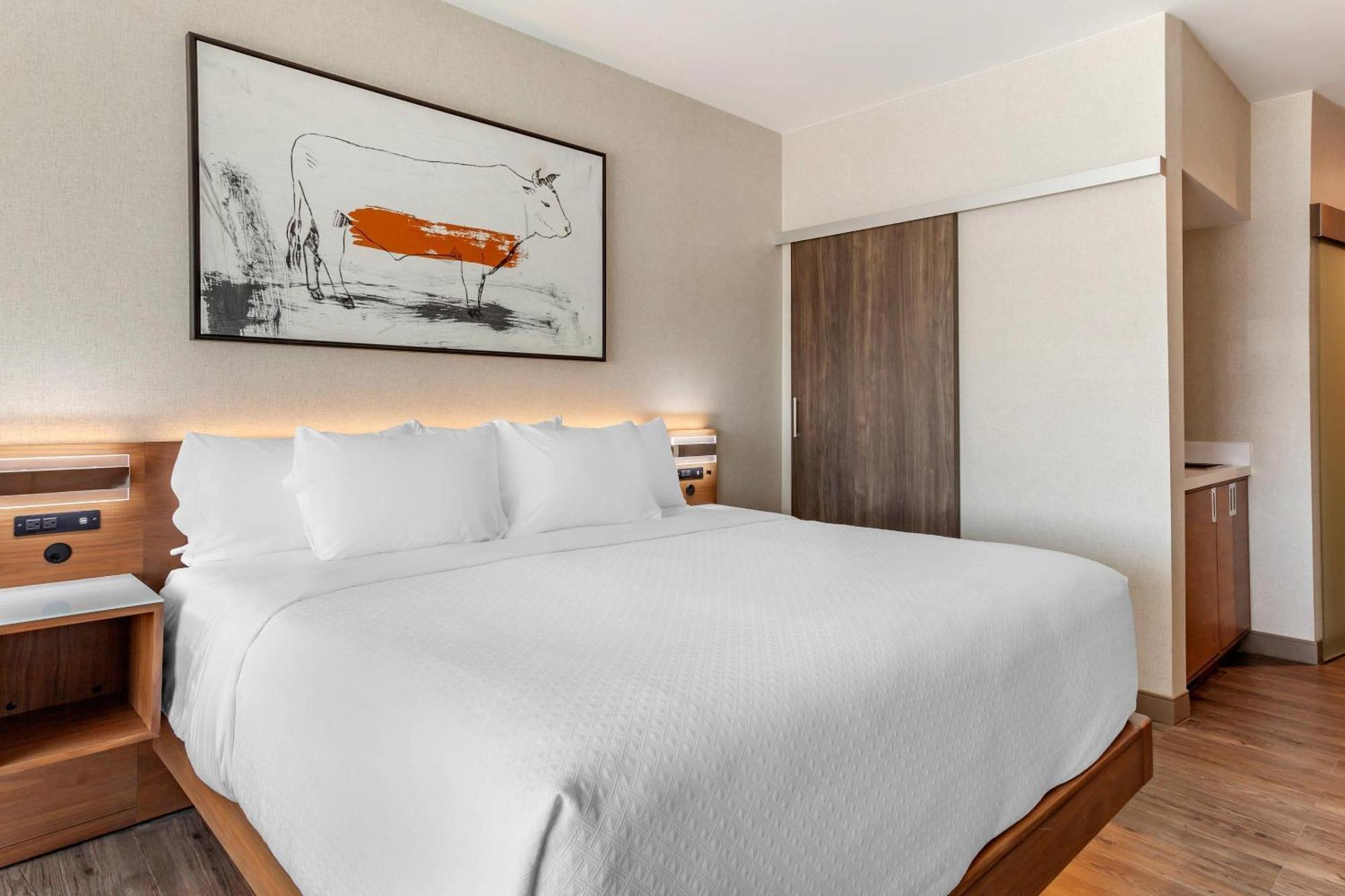 Cambria Hotel Richardson - Dallas Buitenkant foto