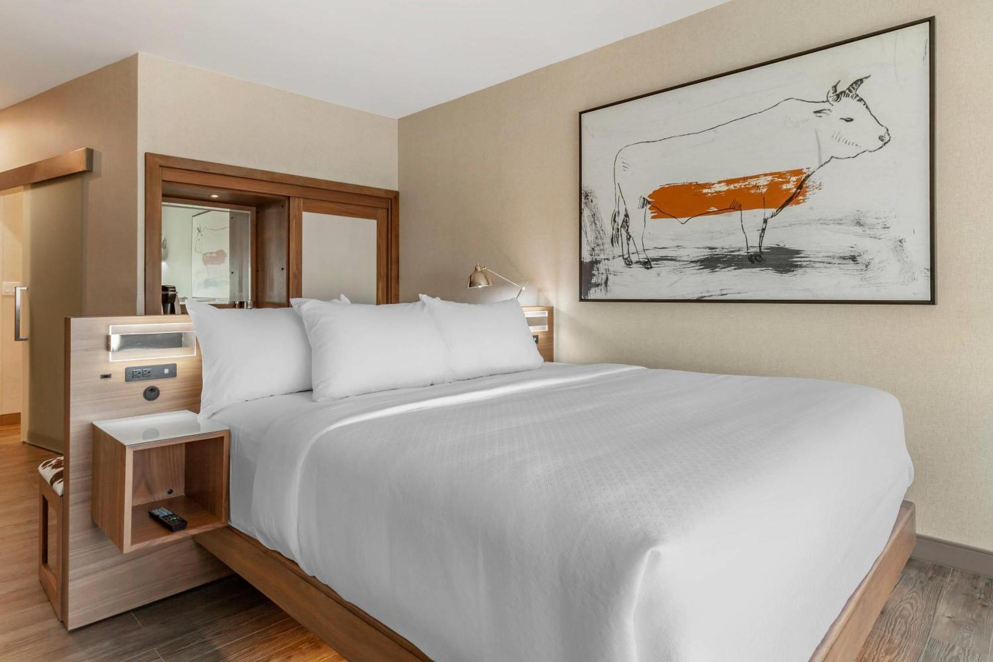 Cambria Hotel Richardson - Dallas Buitenkant foto